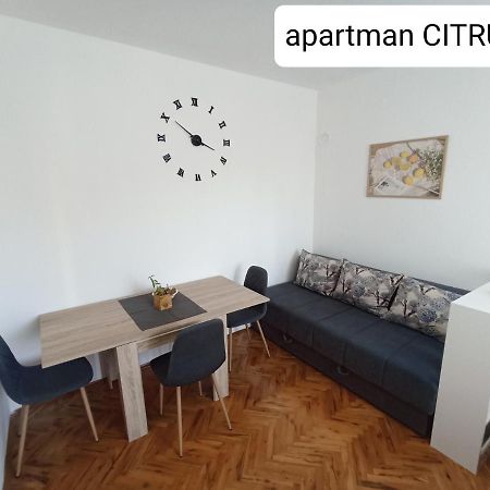 Apartman "Citrus" トレビニエ エクステリア 写真