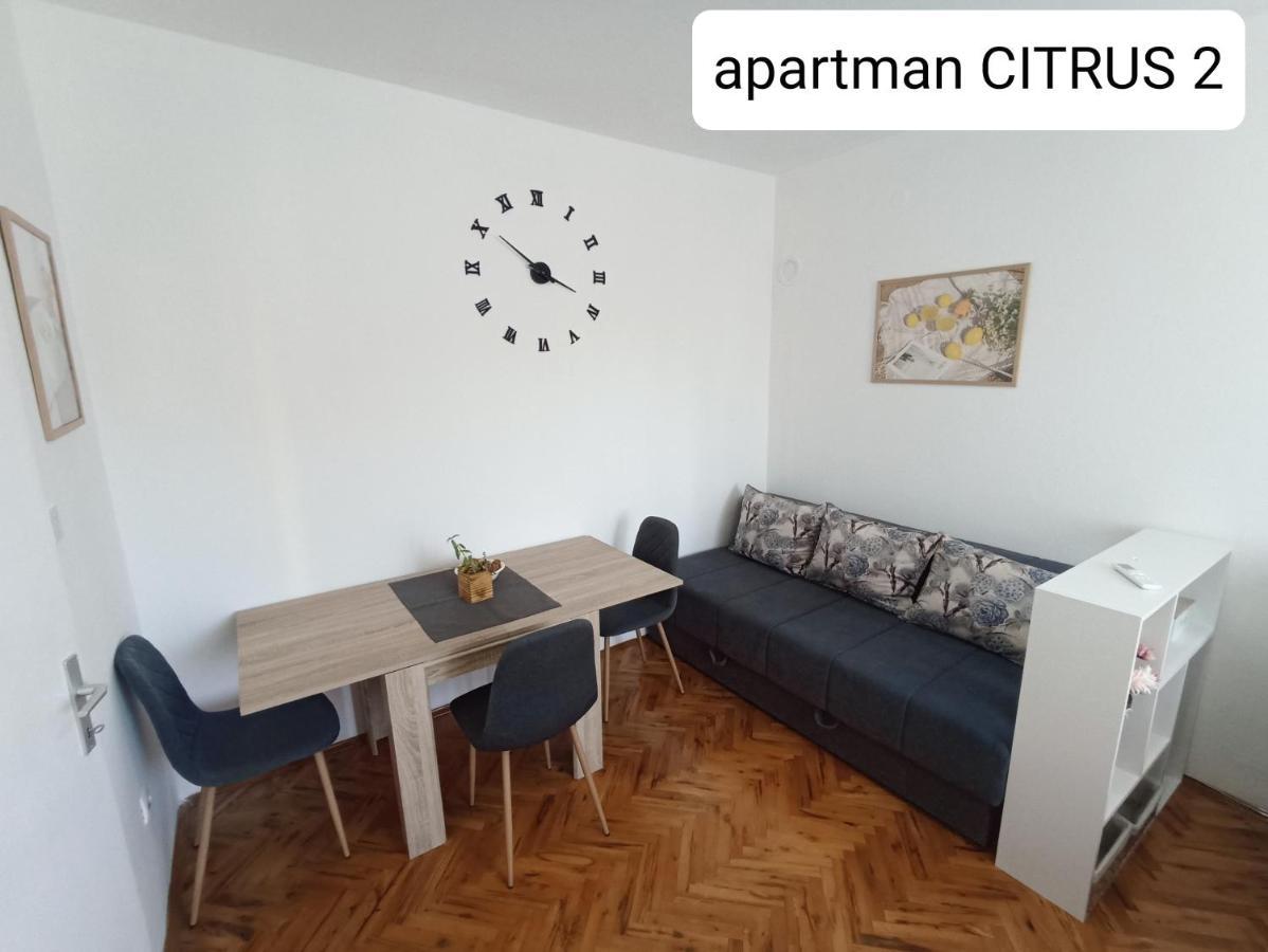 Apartman "Citrus" トレビニエ エクステリア 写真